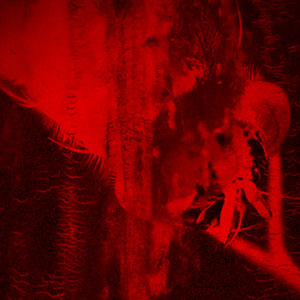 BURROW by SUFFER RING