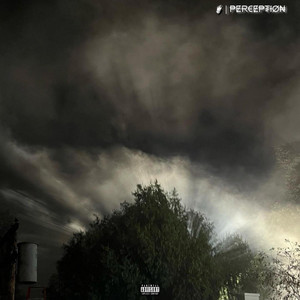 the PERCEPTION collection album
