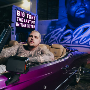 The Last Pit In The Litter by Big Tony