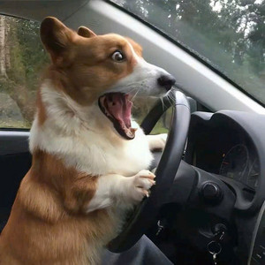 Đừng Làm Trái Tim Đóm Đau