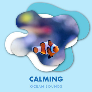 Calming Ocean Sounds For Sleep album