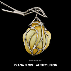 Under the Sky by Prana Flow, Alexey Union, Nuvel