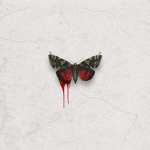 iROVANE - Nice to Know You