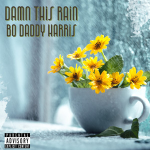 Damn This Rain by Bo Daddy Harris