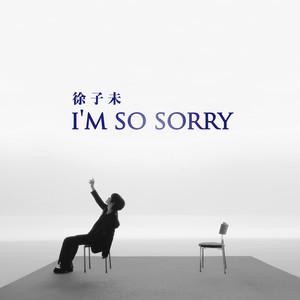 I'm So Sorry by 徐子未