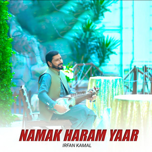 Irfan Kamal - Namak Haram Yaar