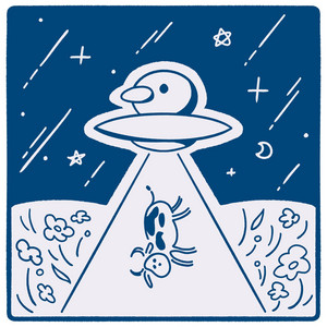 star voyage