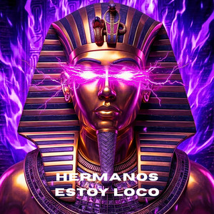 tendencia DJ - Hermanos Estoy Loco
