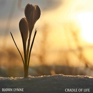 Cradle of Life