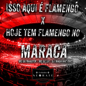 Mc Dg Bradock, Mc Delux & Dj Magrinho km2 - Isso Aqui É Flamengo X Hoje Tem Flamengo no Maraca