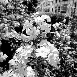 $ir Decay - Don't Close Your Eyes