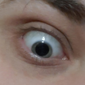 Flesh Pitt - Pack-A-Punch 2