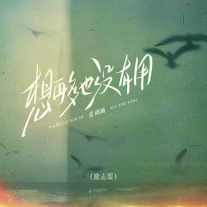想再多也没有用 (Dj默涵版伴奏)