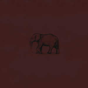 Elephant by Marybeth Byrd