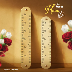 Tere Haan Da by Wajeer Harika