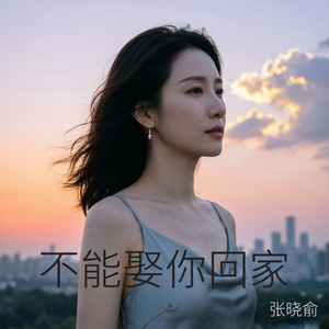 不能娶你回家（遗憾版） by 张晓俞