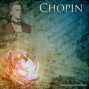 Preludes, Op. 28, C.169: No. 4 in E Minor, Largo