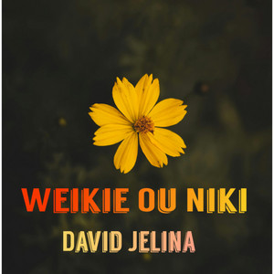 David jelina - Weikie Ou Niki