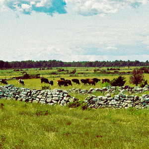 Väster-Ut - Midsommar