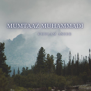 Momal Godhi