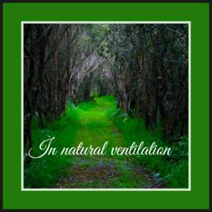Ronaldo DE Paula - In Natural Ventilation