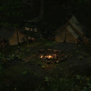 Encampment (Forest Sounds at Night)