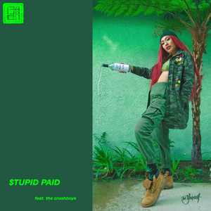 Stupid Paid (feat. The Crushboys) by BAER, The Crushboys