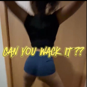 Shaun Mia - Can You Wack It ? (feat. Pmg Lik, Pmg Zay, LilMac & RCB Bouba)