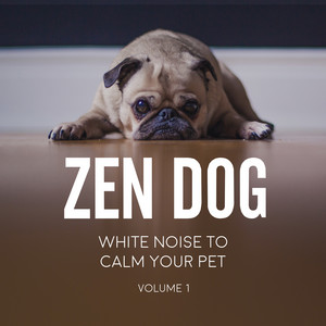 Zen Dog - Beach Sounds for Dogs: Catch in the Calming Waves