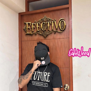 EFECTIVOoOo by eduweed