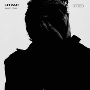 Yeah I Know by Litvar