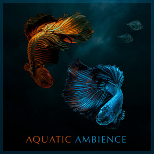 Aquatic Ambience (Donkey Kong Country) by Bruce Bartlebee