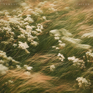 Fallow by Vernal