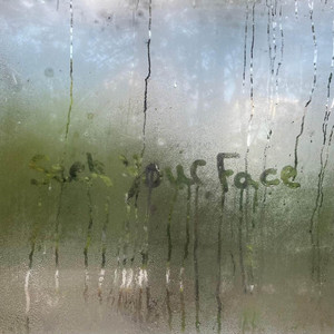 Seek Your Face by Heather Suzanne