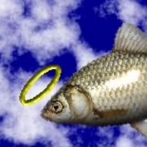 I DONT WANNA GO HOME