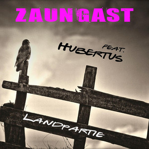Landpartie - Radio by Zaungast, Hubertus