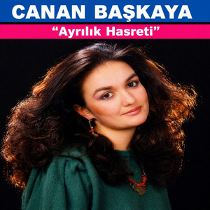 Arayı Arayı Bulsam İzini by Canan Başkaya