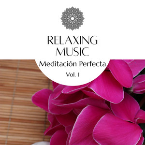 1 Meditación Perfecta Vol. 1 album