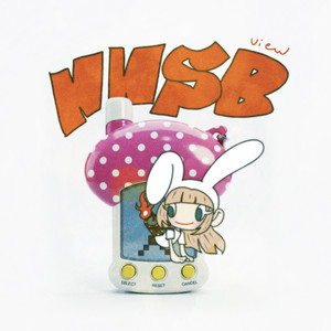 NNSB by view