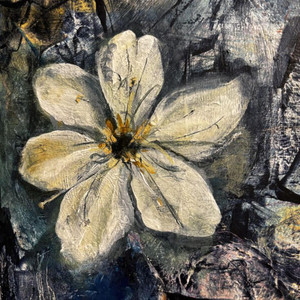 Blossom by Press Play