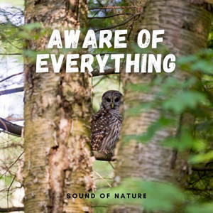 Sounds of Nature: Aware of Everything album