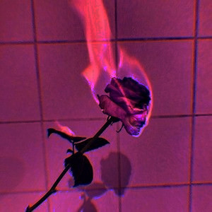 The Bottom by void