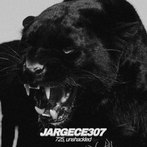 Portada de JARGECE307