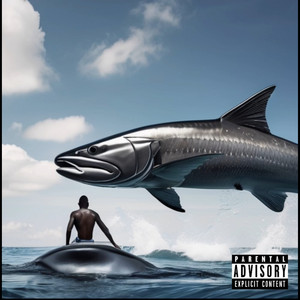 BARRACUDAS! by Your Stepdad