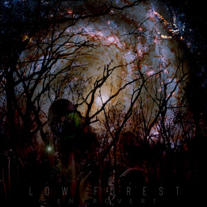 Don't Be Alarmed by Low Forest