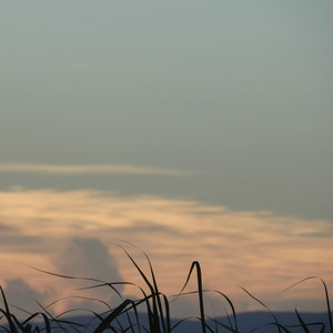 After Some Time by so.tired, itsok.