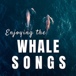 Enjoying the Whale Songs album