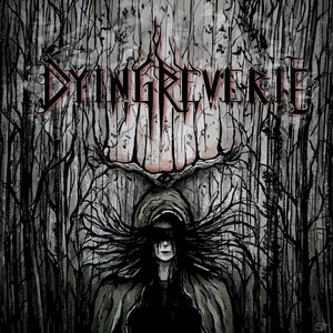 Where Shadows Spawn by Dying Reverie