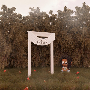 Room To Grow cover