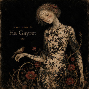 Ha Gayret by anemonik